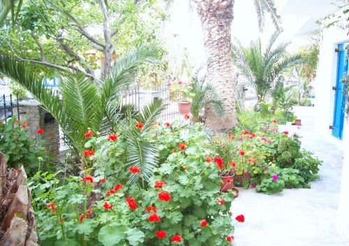 Mérichas Foinikas Studios מראה חיצוני תמונה